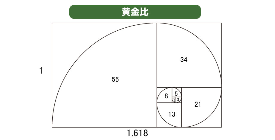 黄金比